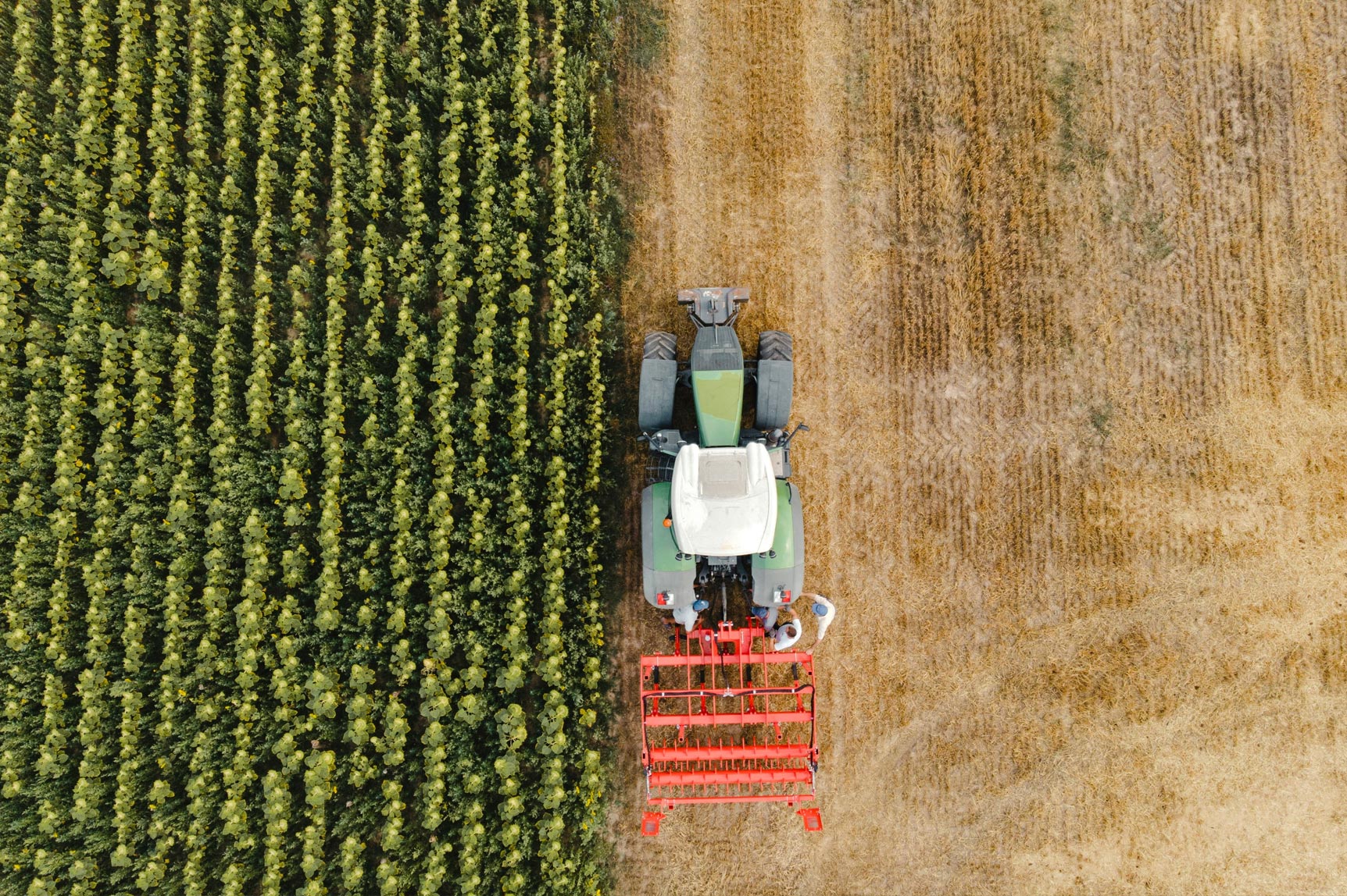 A tractor driving through a field